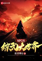 NPC的综武大世界 折月青衫