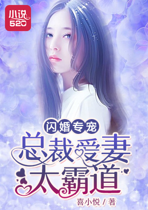 闪婚总裁爱妻如命