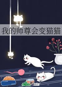 我的师尊会变猫猫by非祈