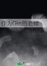 作为gin的老师笔趣阁