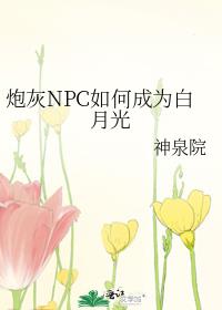 炮灰npc如何成为白月光神泉