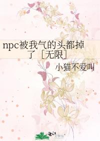 npc被我气的头都掉了[无限