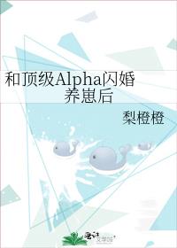 和顶级Alpha闪婚养崽后晋江