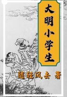 大明小学生小说阅读