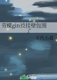 劳模gin被挂壁包围了