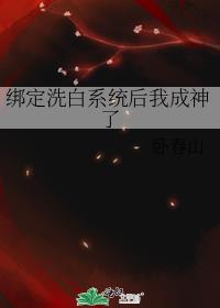 绑定洗白系统后我成神了