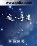 夜寻星颜小说名