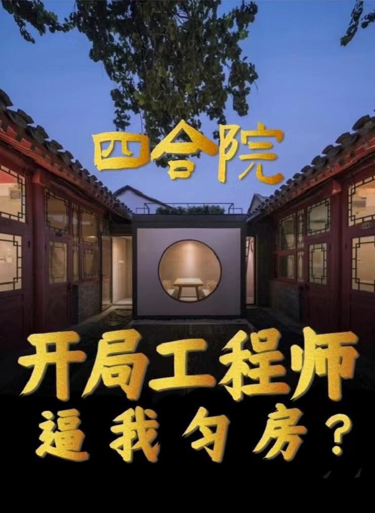 四合院开局5级工程师的小说