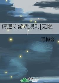 请遵守游戏规则[无限]