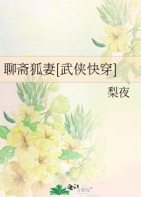 聊斋狐妻[武侠快穿