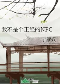 我不是个正经的NPC