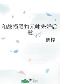 和战损黑豹元帅先婚后爱晋江网页