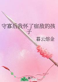 守寡后我怀了宿敌的孩子讲的什么