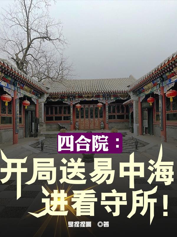 四合院:开局娶