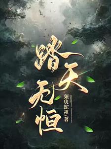 踏天无痕小说