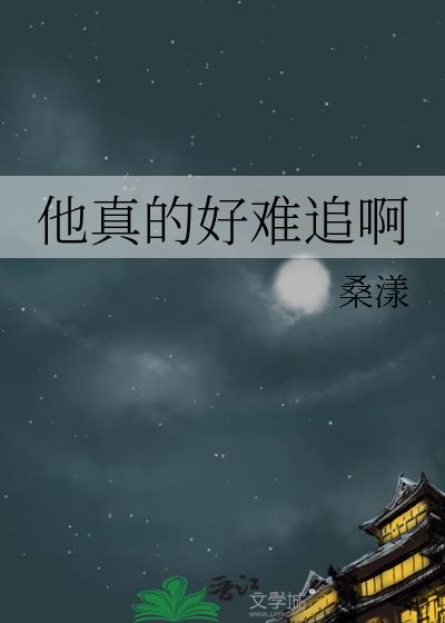 他真的好难追啊by桑漾