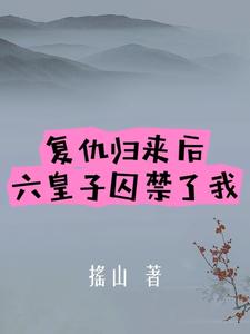 皇子复仇小说