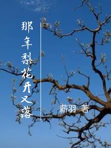 那年梨花开歌词