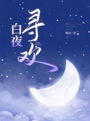 白夜追寻小说