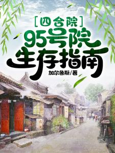 95年四合院多钱