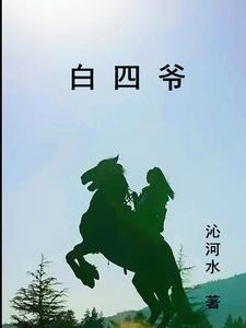 白四爷江怡小说名字