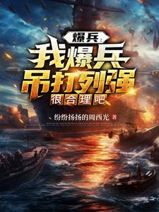 爆兵流小说是什么