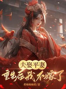 夫人消气了吗是什么小说