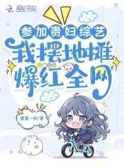 演唱会贵妇团是什么