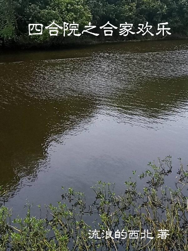 四合院之合家欢乐最