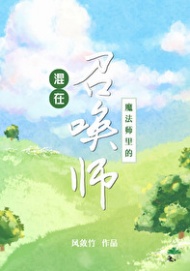 混在魔法师里的召唤师免费阅读