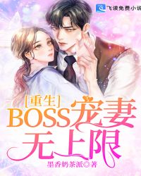 重生袅妻:boss