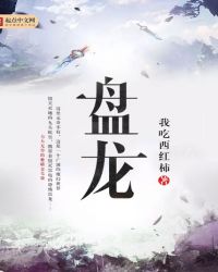 盘龙七片说明书