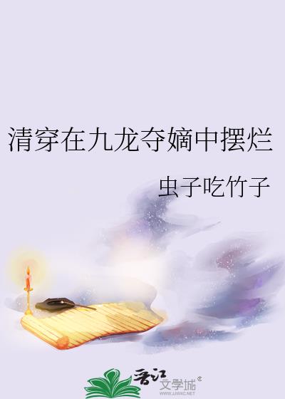 九龙夺嫡清穿小说