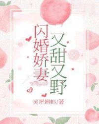 小说闪婚甜又暖