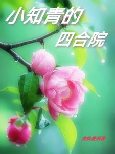 四合院我和槐花知青