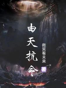 混沌丹神TXT下载