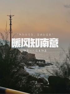 小说南风暖暖