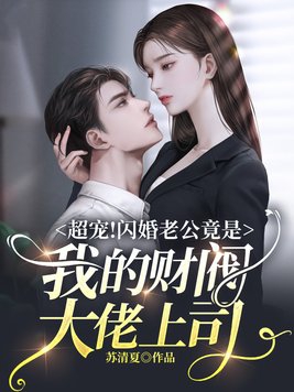 闪婚之我的老公是总裁