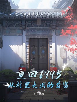 重返1995年 小说