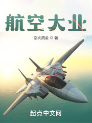 航空大业小说