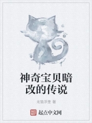 神奇宝贝暗改的传说 龙猫浮奎