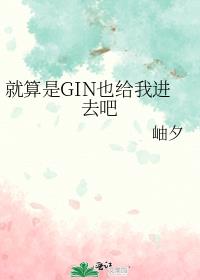 就算是GIN也给我进去吧